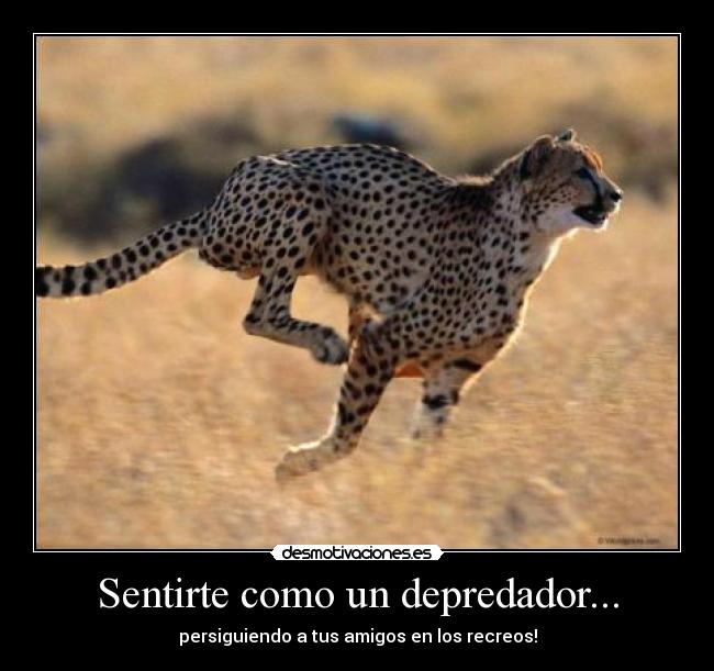 carteles dfjhsadoiuf desmotivaciones