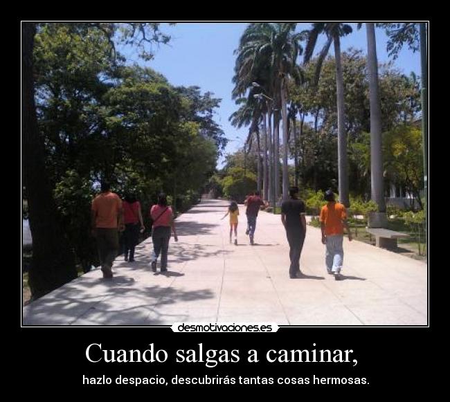 Cuando salgas a caminar, - hazlo despacio, descubrirás tantas cosas hermosas.