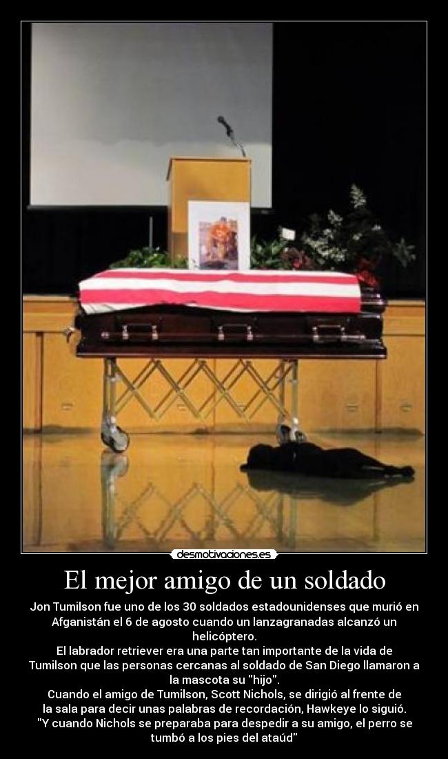 El mejor amigo de un soldado -