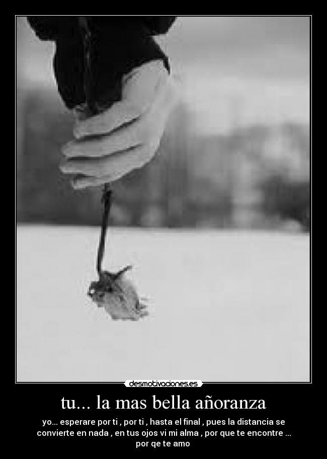 tu... la mas bella añoranza -