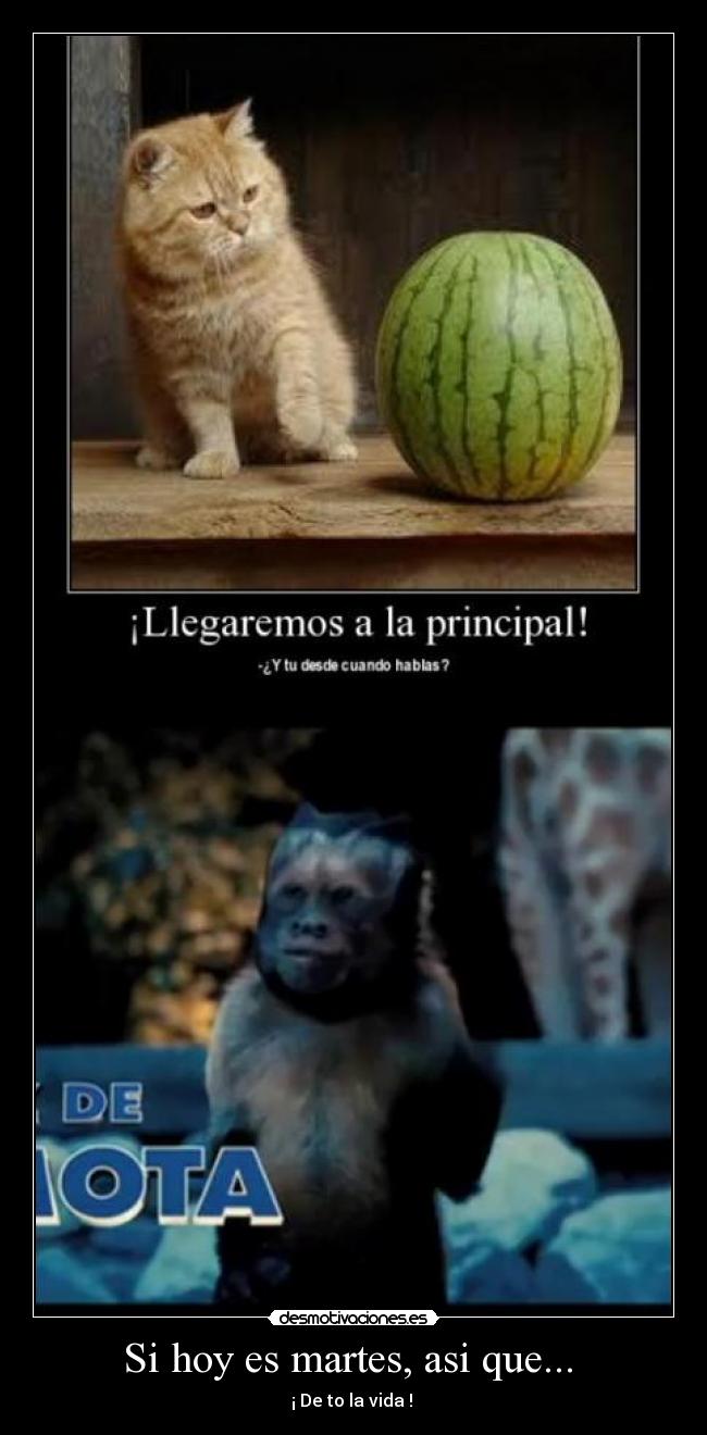 Si hoy es martes, asi que... -