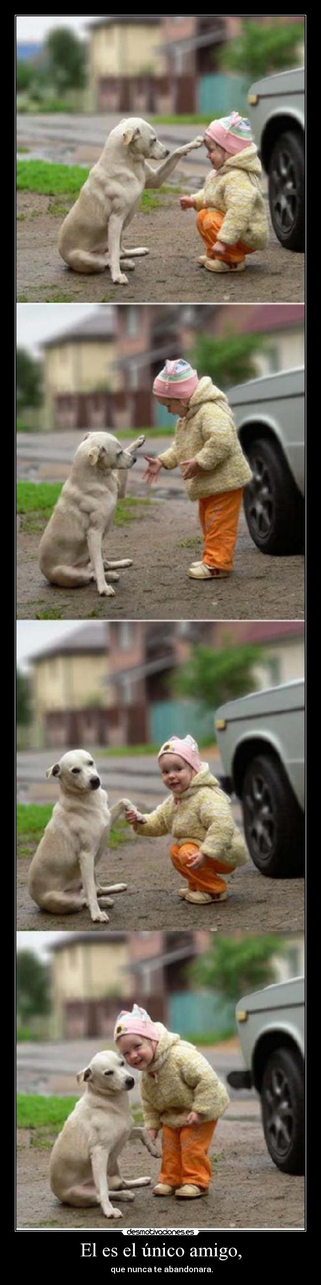 El es el único amigo, -