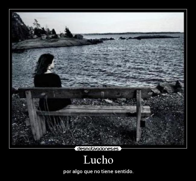 Lucho -