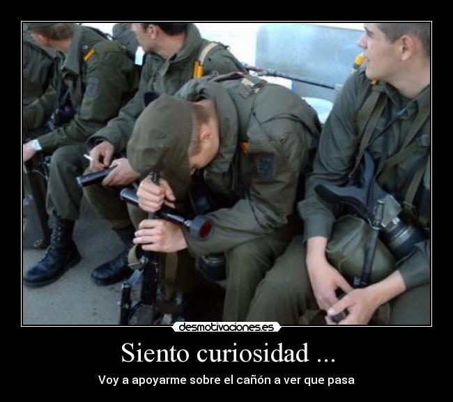 Siento curiosidad ... - 