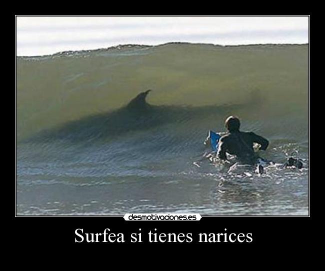 carteles fefeeeweweewewewew desmotivaciones