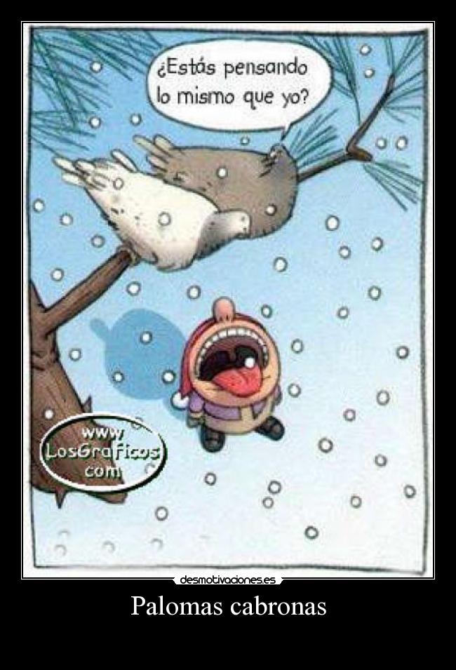 Palomas cabronas - 