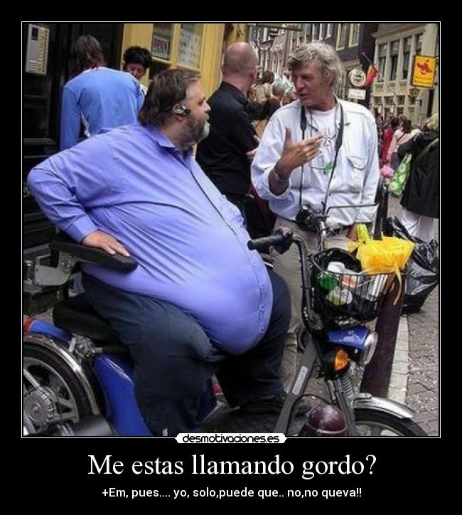 Me estas llamando gordo? - +Em, pues.... yo, solo,puede que.. no,no queva!!