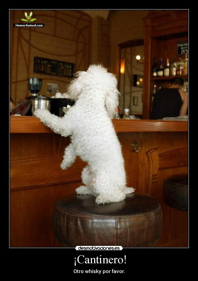 ¡Cantinero! - Otro whisky por favor.