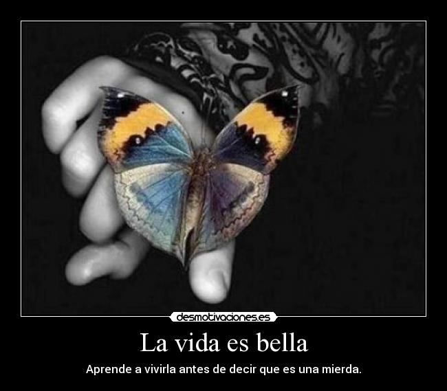 La vida es bella - Aprende a vivirla antes de decir que es una mierda.