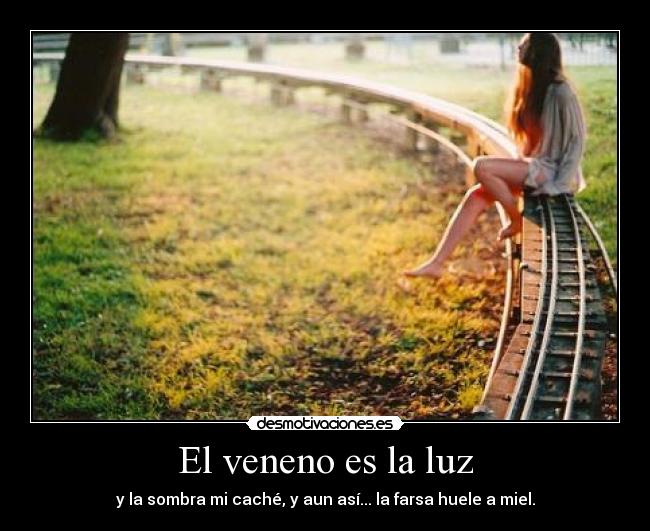 El veneno es la luz - 