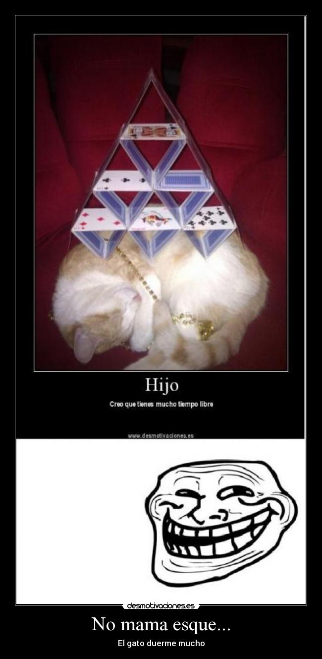 No mama esque... - El gato duerme mucho