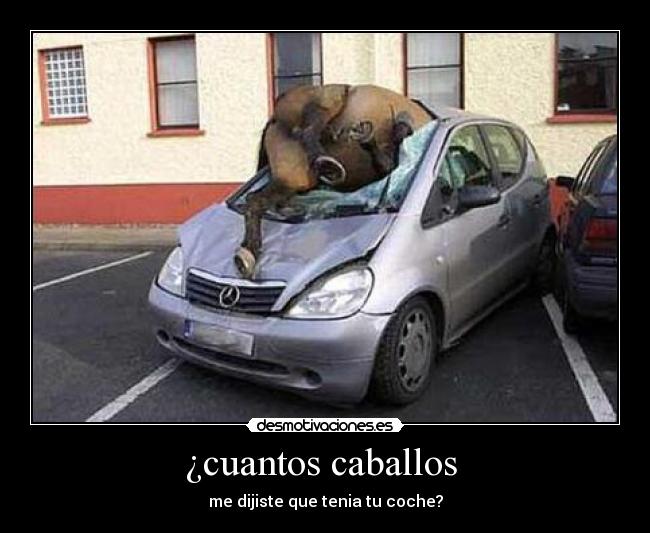 ¿cuantos caballos -