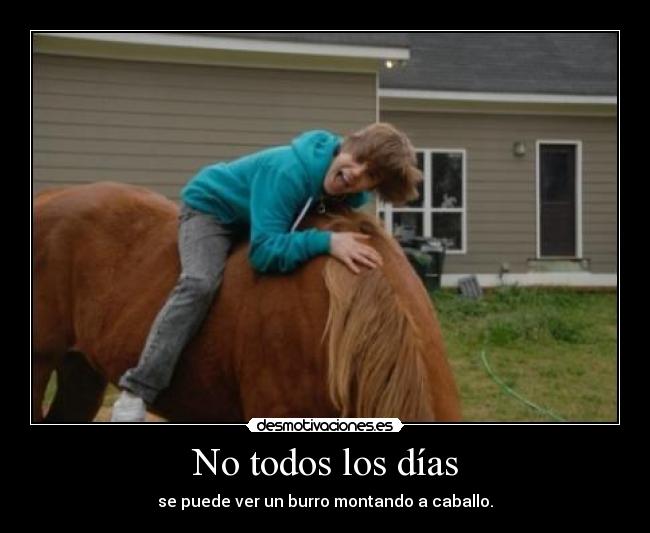 No todos los días - se puede ver un burro montando a caballo.