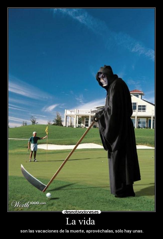 carteles vida vida desmotivaciones