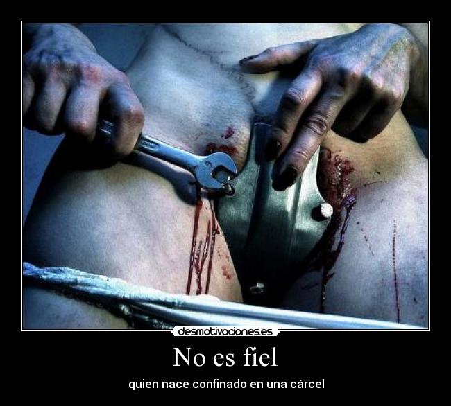 carteles bienvenidos montana rusa ser bipolar mezclar musica sustancias aprender volar desmotivaciones