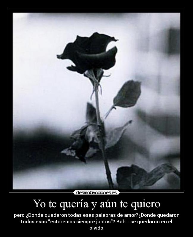 Yo te quería y aún te quiero - 