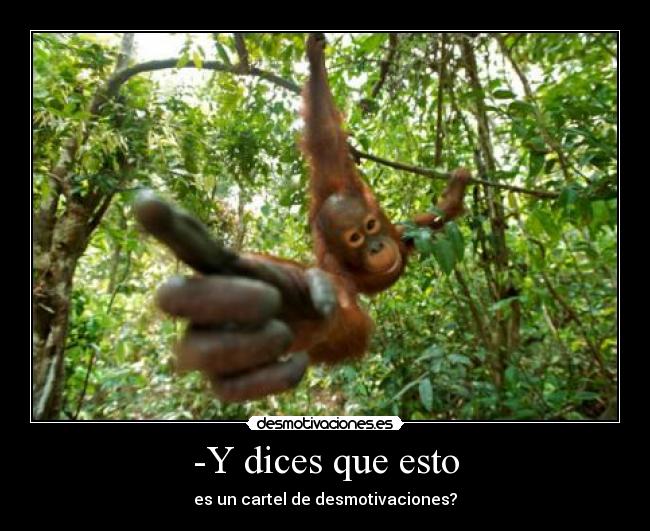 -Y dices que esto -