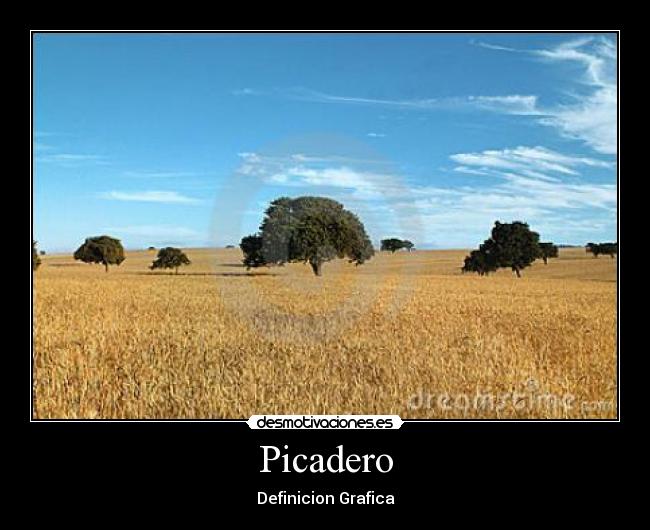 Picadero - Definicion Grafica