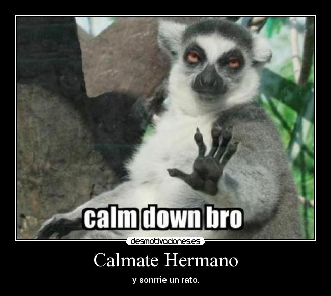 Calmate Hermano -