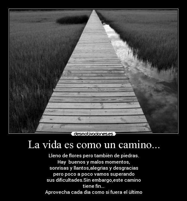La vida es como un camino... - Lleno de flores pero tambièn de piedras.
Hay buenos y malos momentos,
sonrisas y llantos,alegrìas y desgracias
pero poco a poco vamos superando
sus dificultades.Sin embargo,este camino
tiene fin...
Aprovecha cada dìa como si fuera el ùltimo