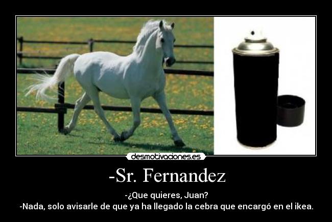 -Sr. Fernandez - -¿Que quieres, Juan?
-Nada, solo avisarle de que ya ha llegado la cebra que encargó en el ikea.