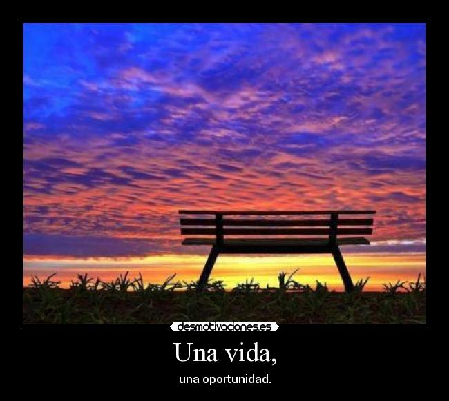 Una vida, - 