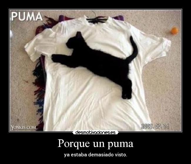 Porque un puma - ya estaba demasiado visto.