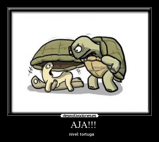 AJA!!! - nivel: tortuga
