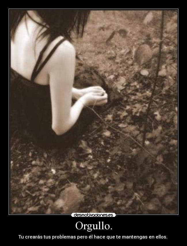 carteles jsjs desmotivaciones