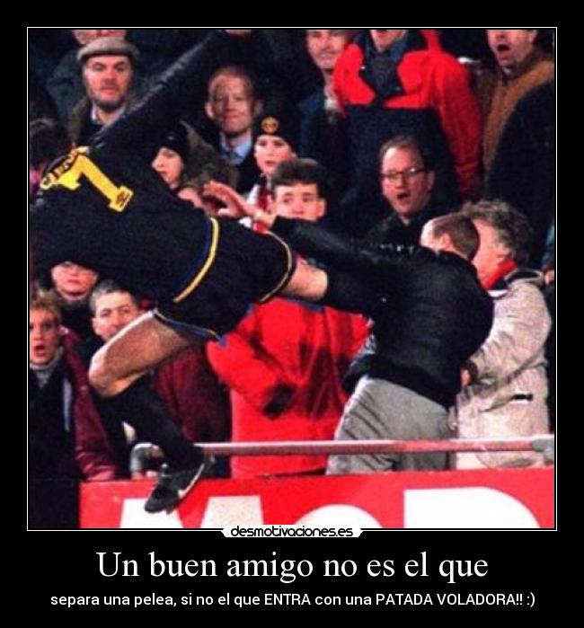 Un buen amigo no es el que - 