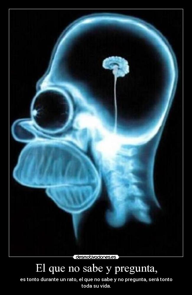 carteles tonto desmotivaciones