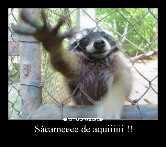 Sácameeee de aquiiiiii !! - 