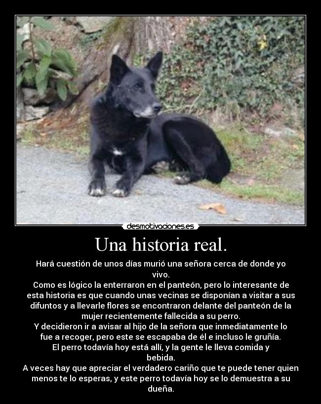 Una historia real. - 