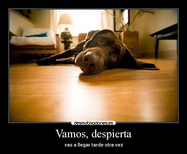 Vamos, despierta - vas a llegar tarde otra vez