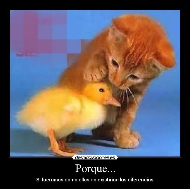 Porque... - Si fueramos como ellos no existirian las diferencias.