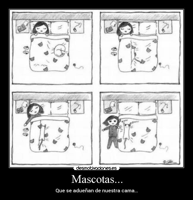 Mascotas... - 
