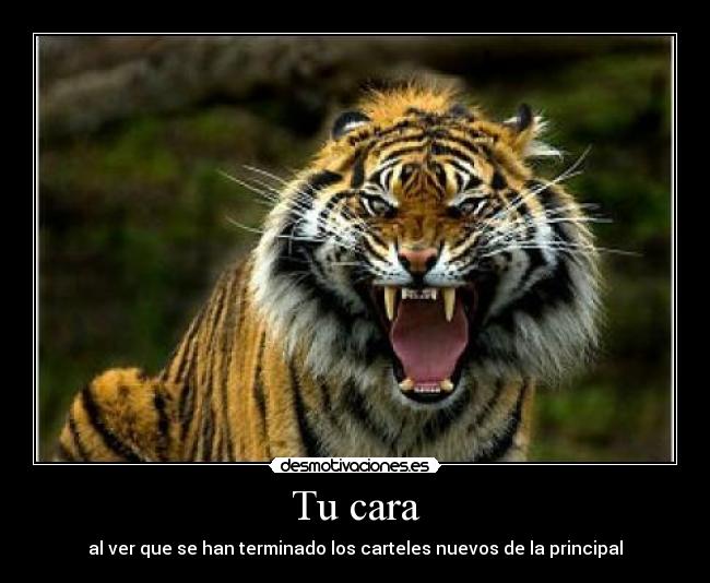 Tu cara - al ver que se han terminado los carteles nuevos de la principal