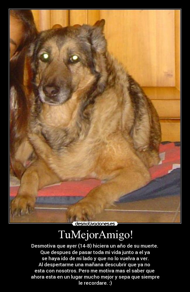 TuMejorAmigo! -