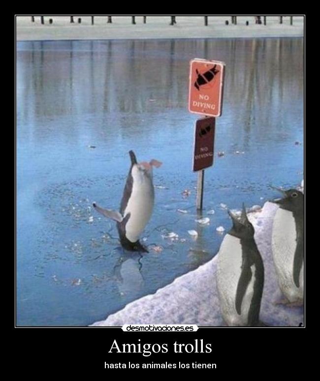 Amigos trolls -
