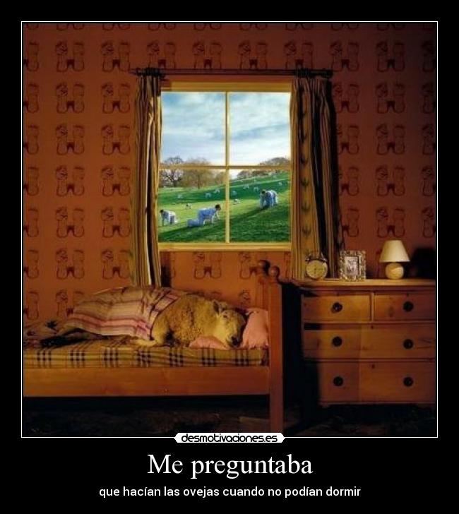 carteles tonterias desmotivaciones