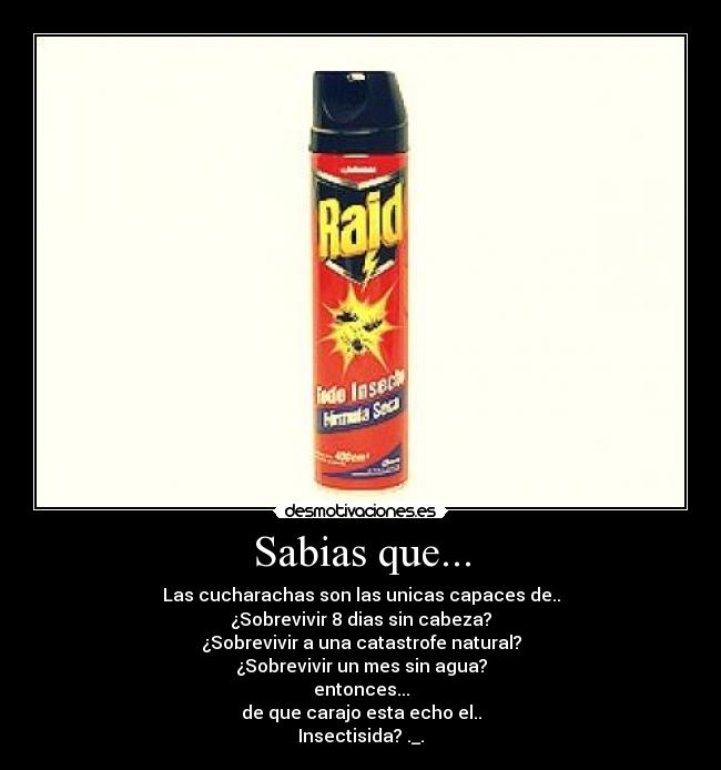 carteles cucarachas desmotivaciones