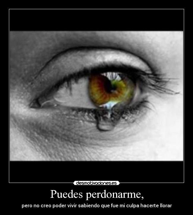 Puedes perdonarme, -