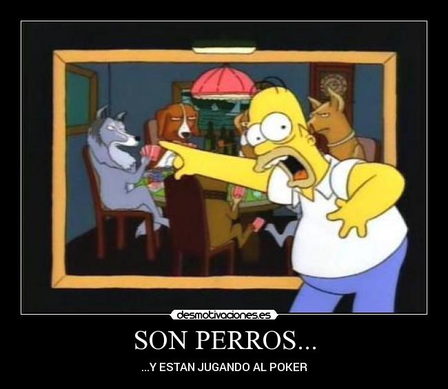 SON PERROS... -