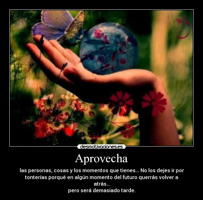 Aprovecha - las personas, cosas y los momentos que tienes... No los dejes ir por
tonterías porqué en algún momento del futuro querrás volver a
atrás...
pero será demasiado tarde.