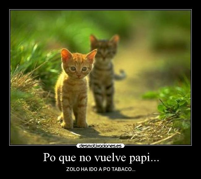 Po que no vuelve papi... - ZOLO HA IDO A PO TABACO...