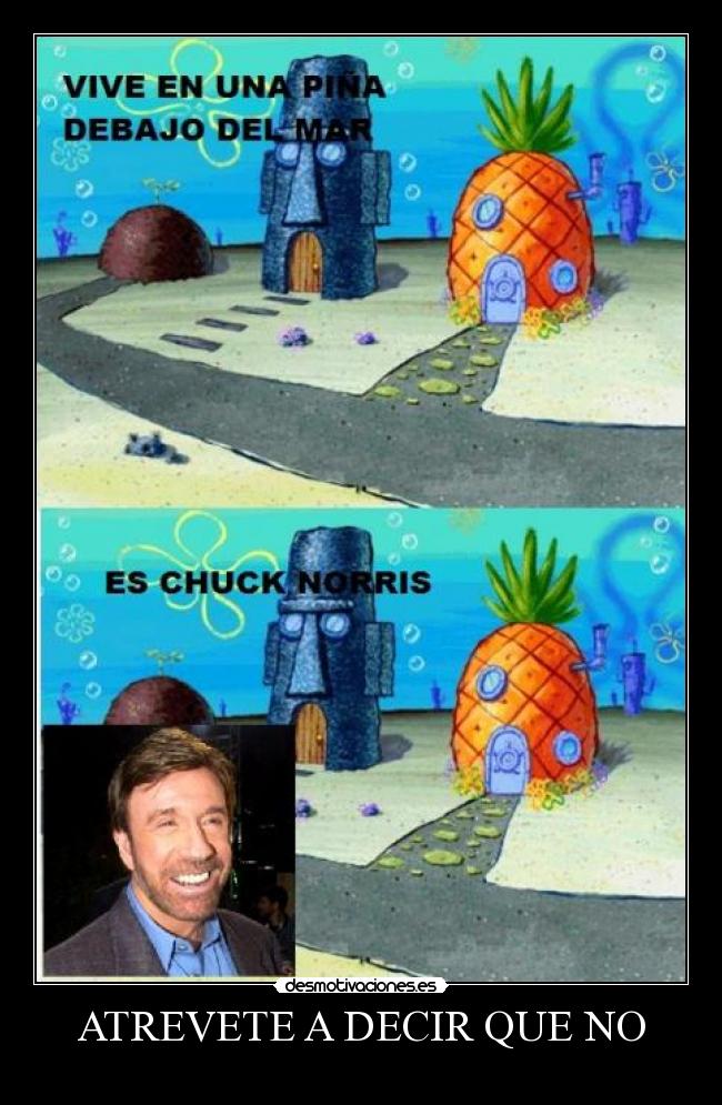 carteles chuck norris desmotivaciones