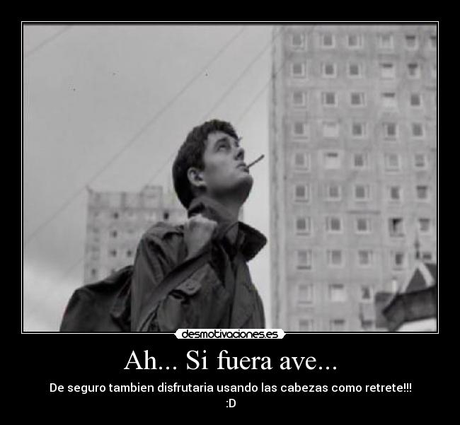 carteles malo desmotivaciones