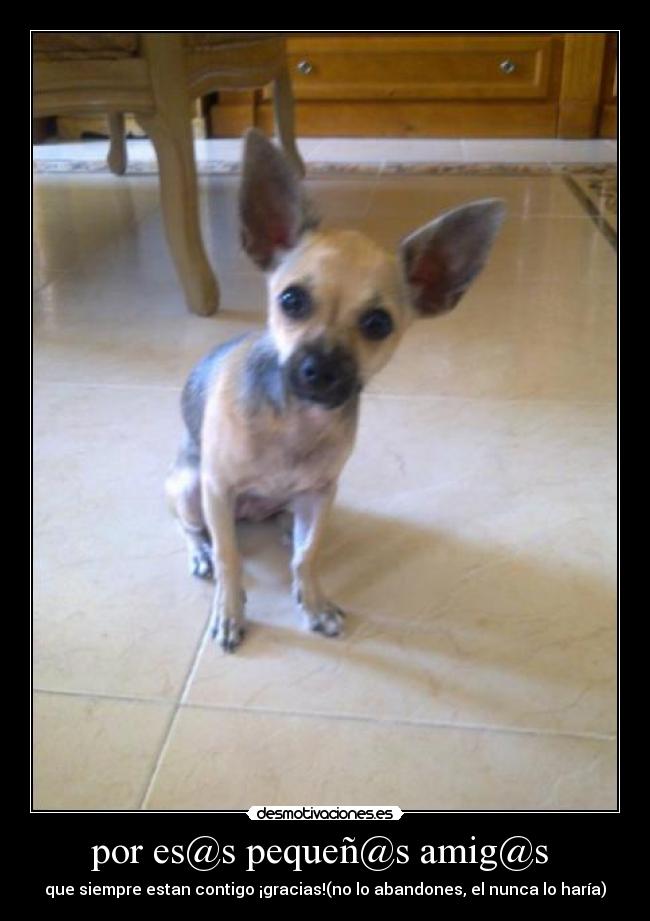 por es@s pequeñ@s amig@s - que siempre estan contigo ¡gracias!(no lo abandones, el nunca lo haría)