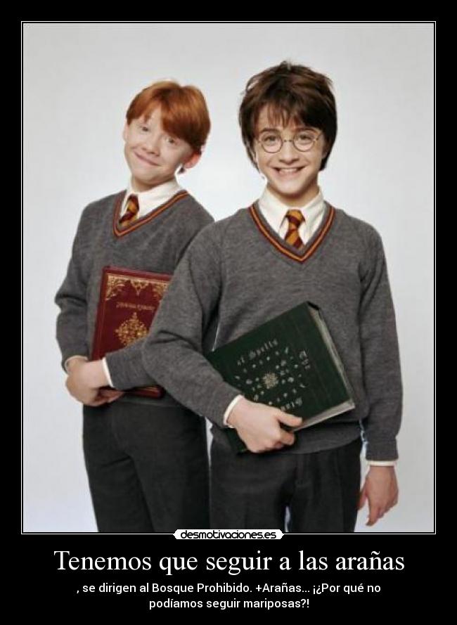 Tenemos que seguir a las arañas -