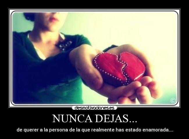 NUNCA DEJAS... -